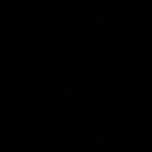 Meet your Posher, Shawnee